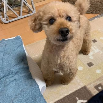 ユーザーともゆき