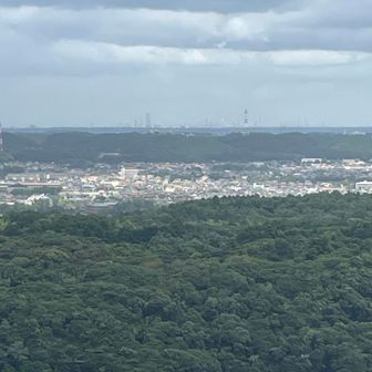 雨が止んだので再度展望台へ
めっちゃ見づらいですが昨日SNSで千葉市で火事だと騒がれていた市原のフレアスタック🔥2時間程前に目の前を通過した時は煙突🏭から5m以上の火柱が立っていました🤣確かに夜間曇っていると炎が雲に反射し大火災が起こっている様に見えるのですが、見慣れるといつもの風景🤣災害の度に騒がれているような🤔