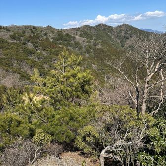 高畑山が遠くに感じる😂