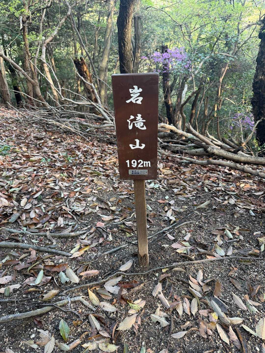 岩滝山 往復コースの写真