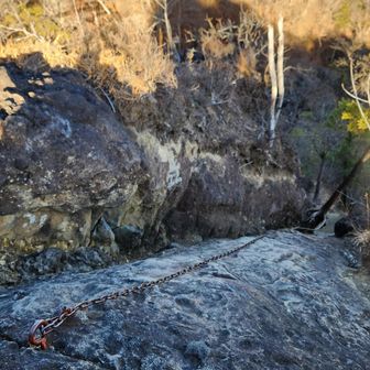 今日は縦走路の岩場や鎖場には、ほぼ凍結はありませんでした。