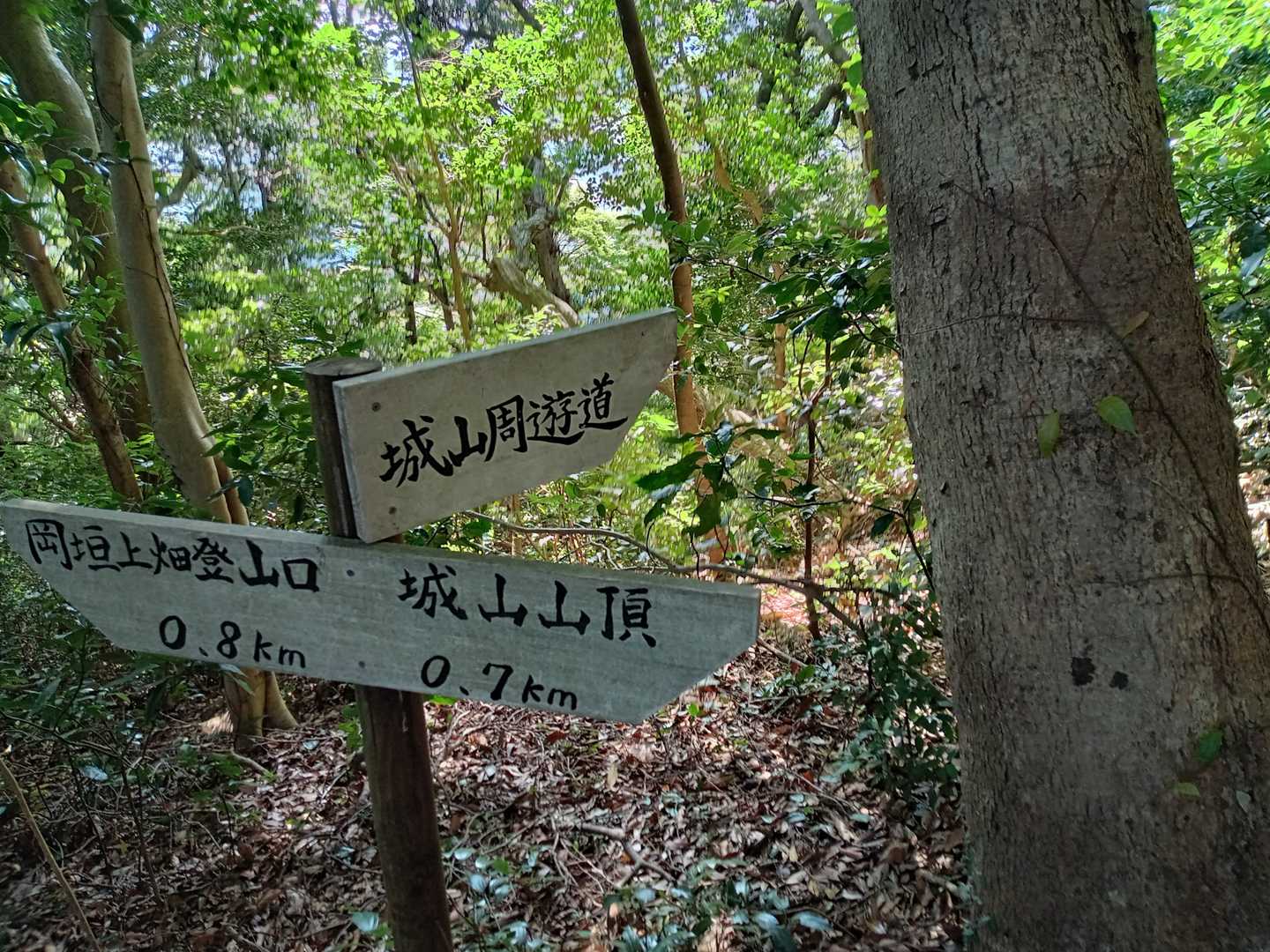 尻もちつかぬように慎重に降りたよ