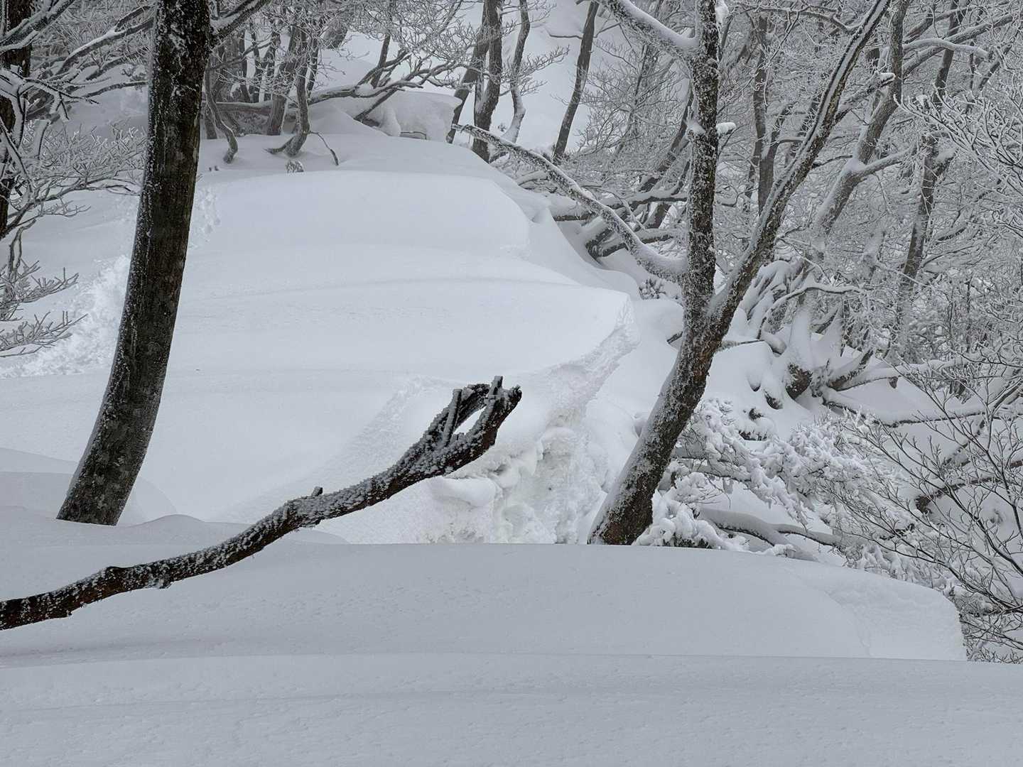真ん中に細い手写ってますの
