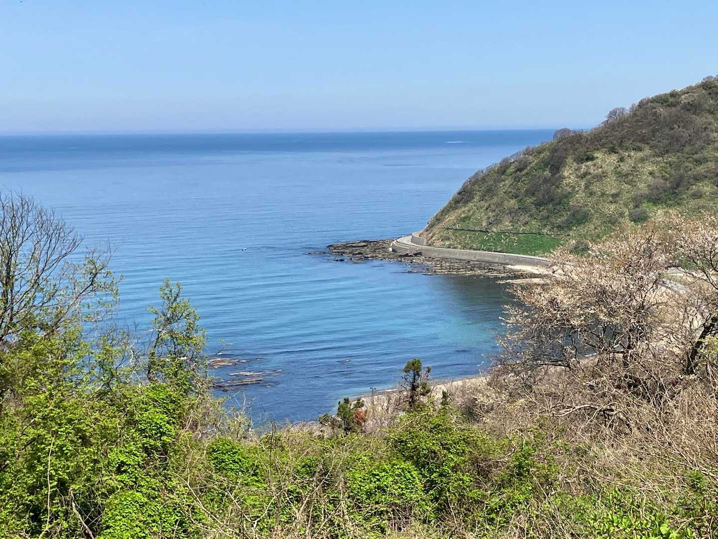 キレイな海🌊