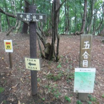 十石山山頂