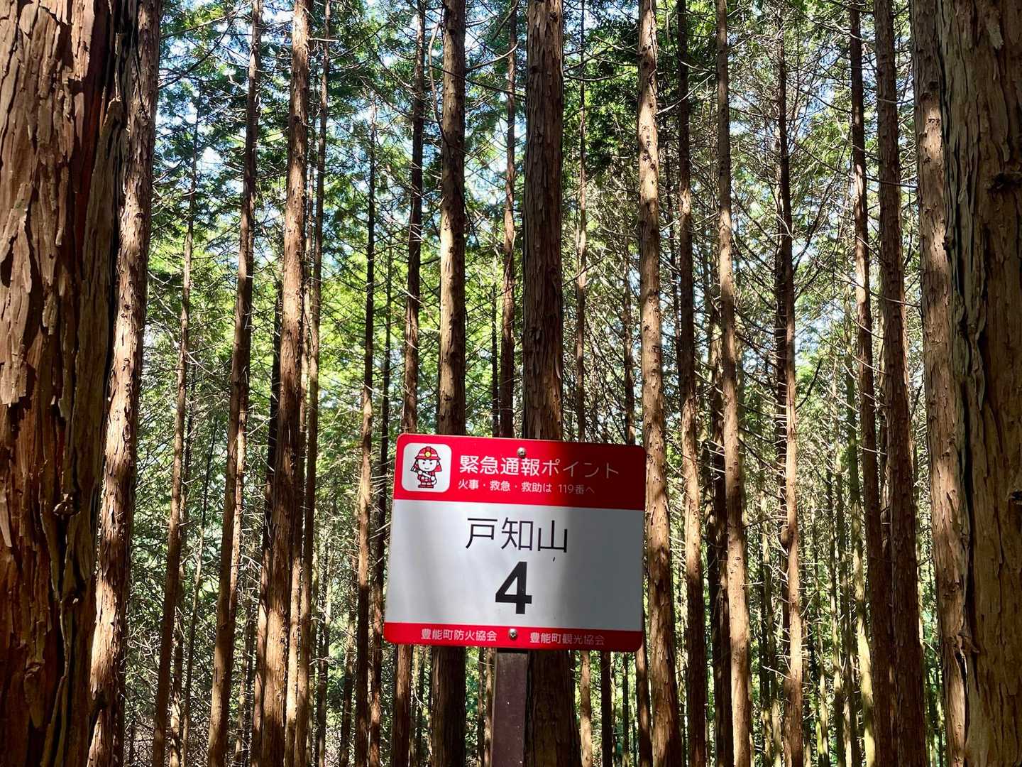 案内看板4に到着