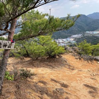 ④龍神山（202m） ……  頂きです⛰️