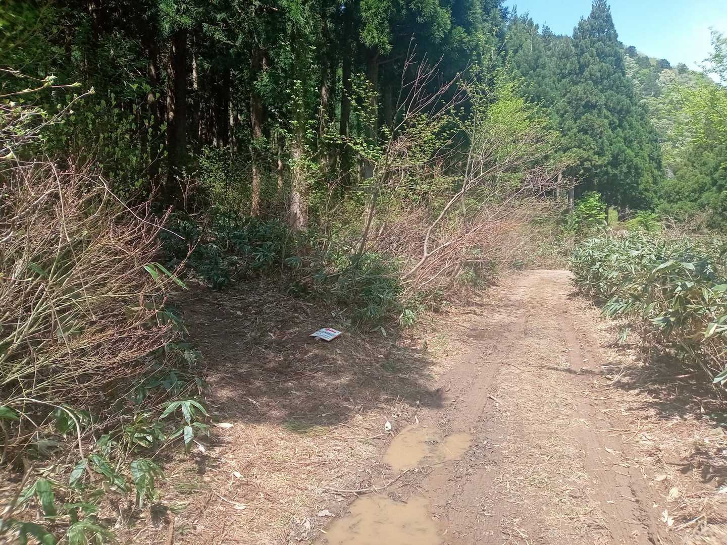 桂原登山口。ちなみに奥に行くと車を何台か停めれるスペースがありますが、枝が道にまで出てきており、傷つく可能性があります。