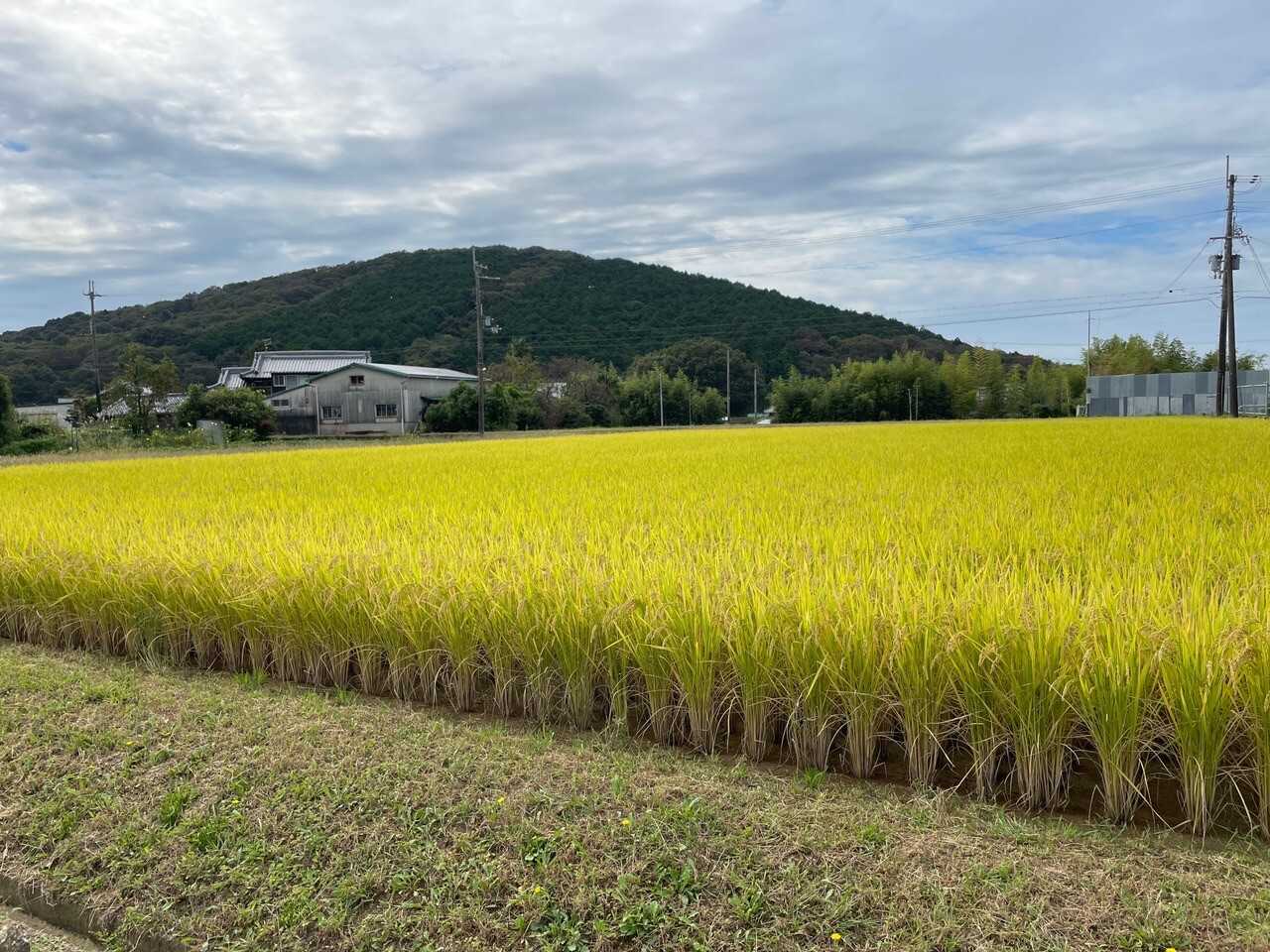 雄岡山の写真