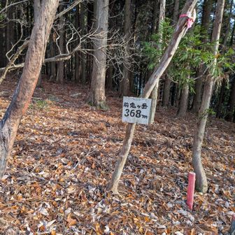 【前鬼】山頂