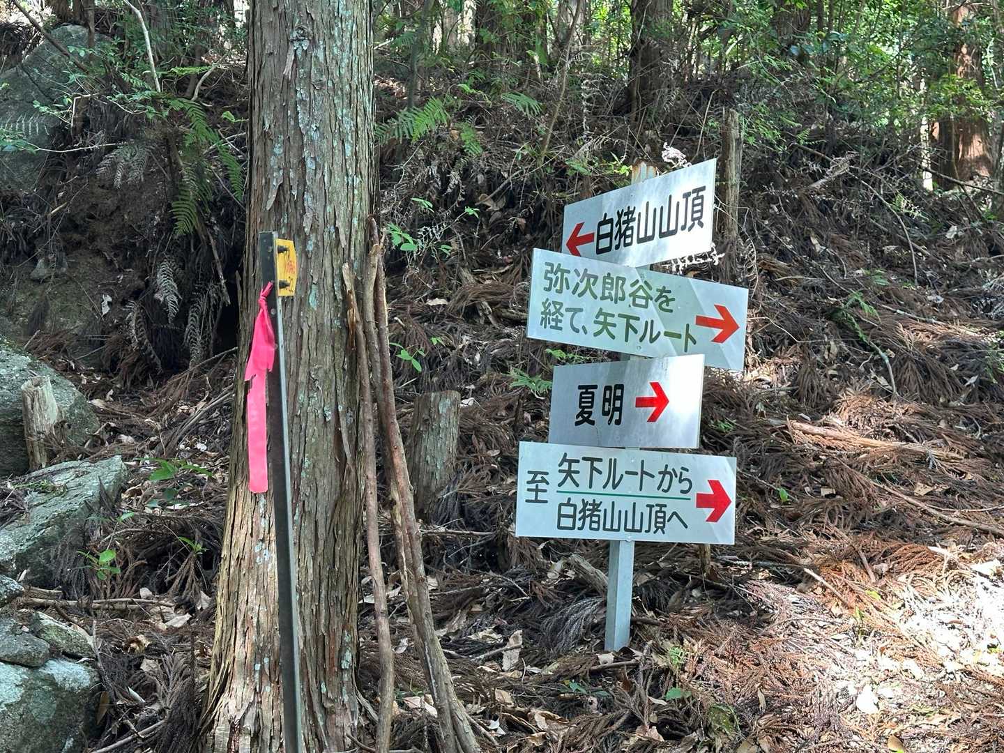 周回ルートで気分を変えて下山