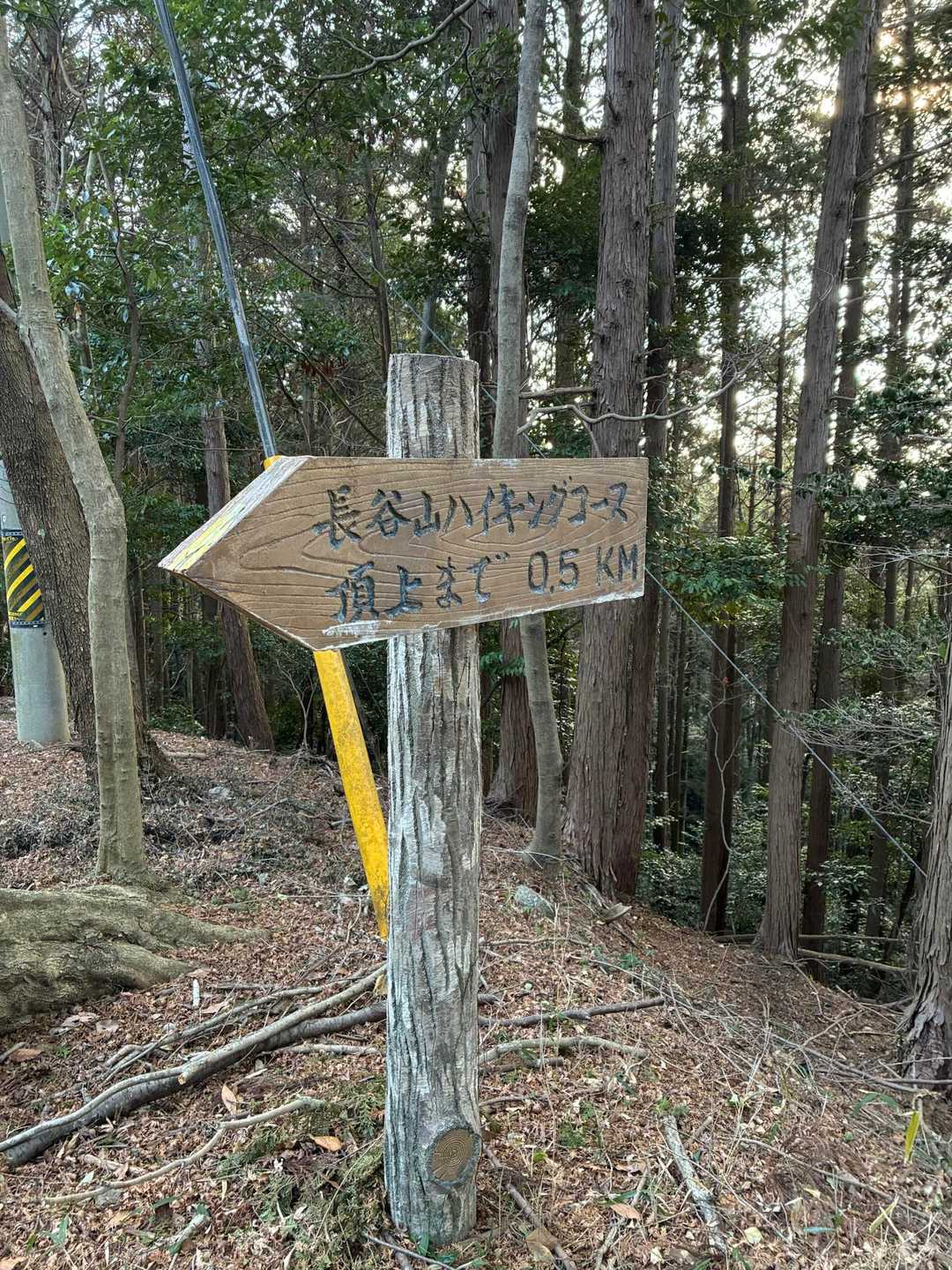 長谷山ハイキングコース入口-長谷寺-長谷山 周回コースの写真