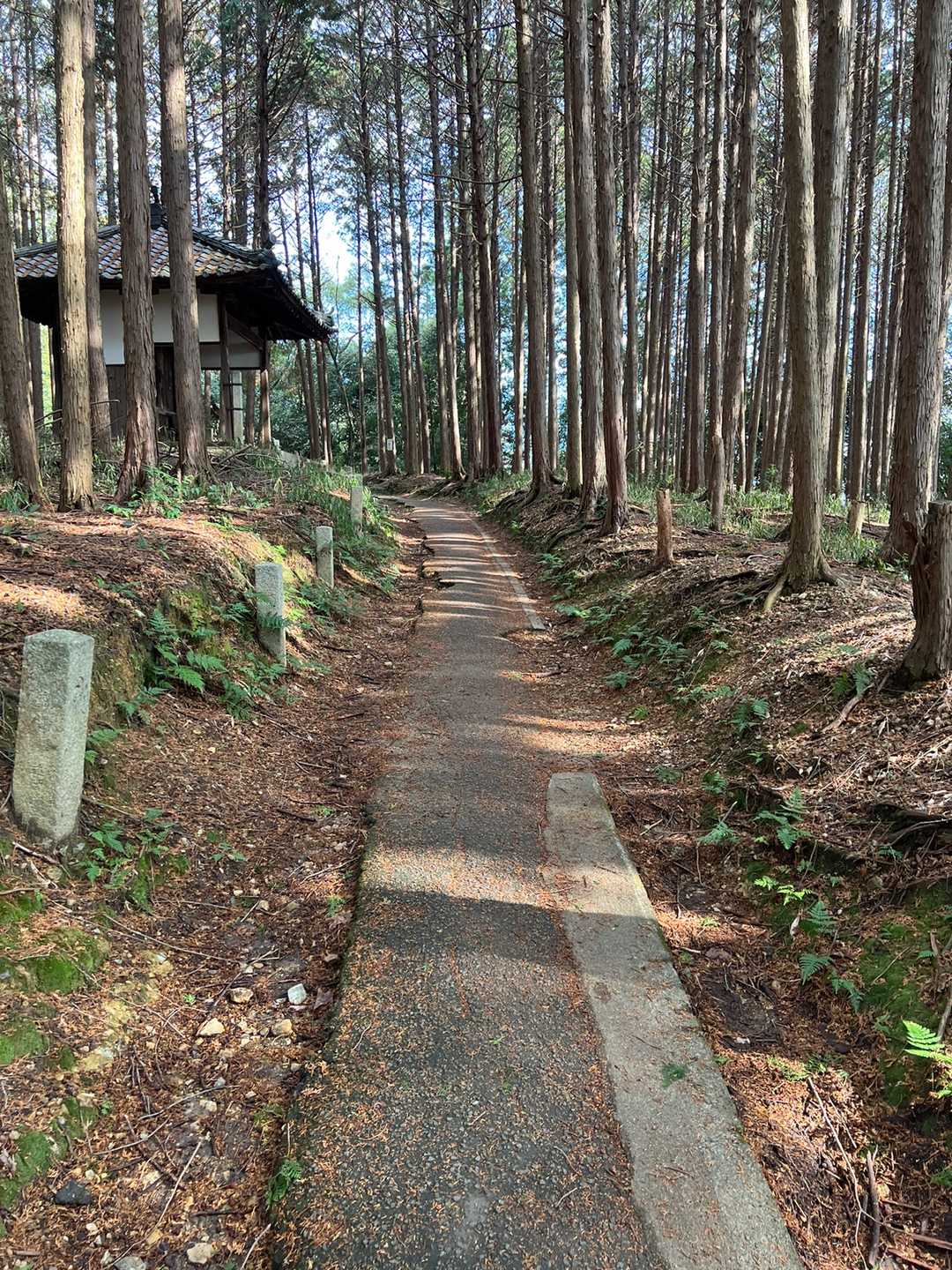 御室仁和寺バス停-成就山-御室八十八個所結願所 周回コースの写真