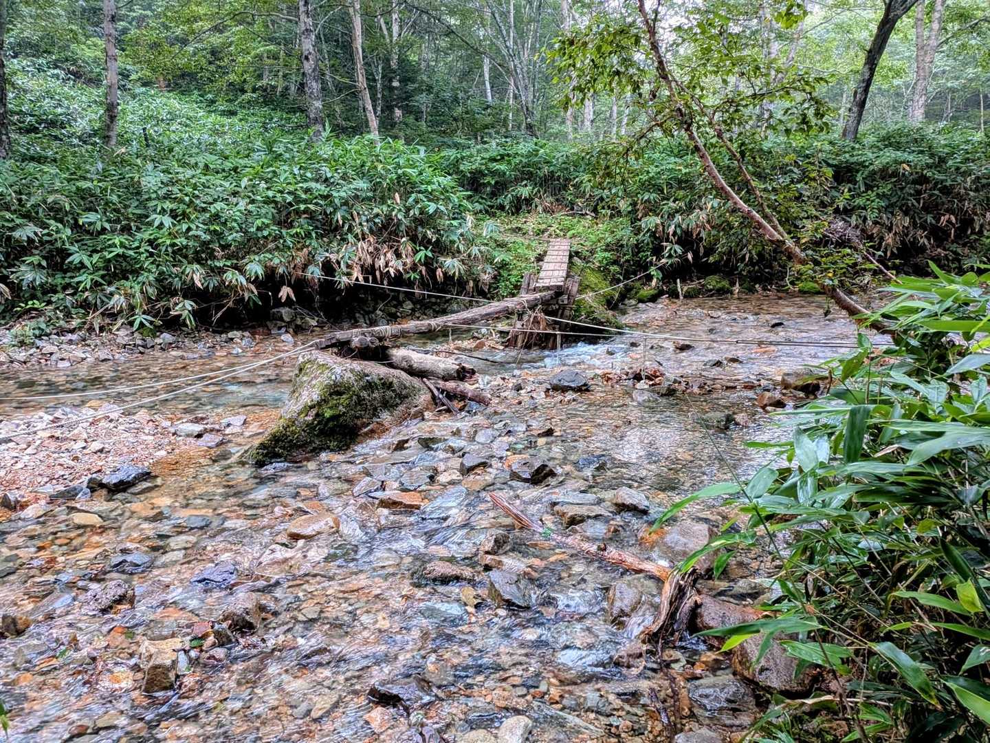 渡渉。
水量少なめで余裕