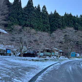 水の元
カッチカチ❄️