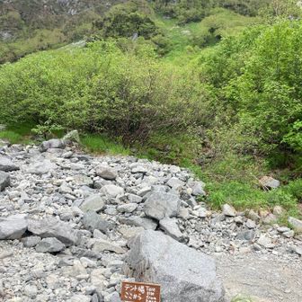 テント場からのカモシカ、パノラマ方面