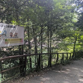 トロッコ保津峡駅
ここはスルーしますが、吊り橋を見に行きます
