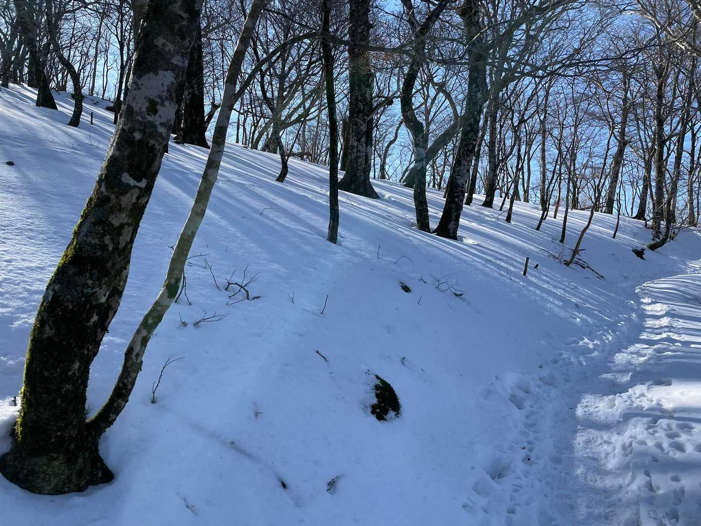 ザクザク👣