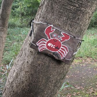 カニ山とうちゃこ　🦀
