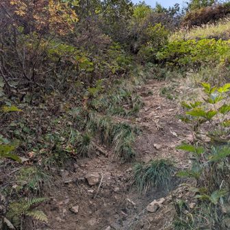 百高山をしてる人しか登らない坂を登る🧗。