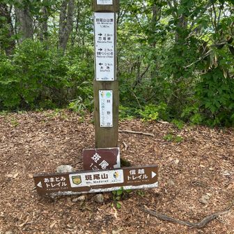 ゴールの斑尾山
みんな頑張った🥲