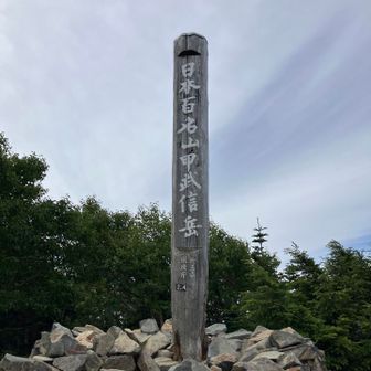 甲武信ヶ岳登頂⛰️4回目
