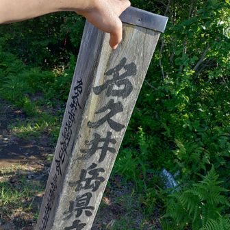 登頂🙌
オイ！蝿🪰！