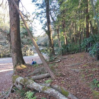 入間川沿いを歩きます