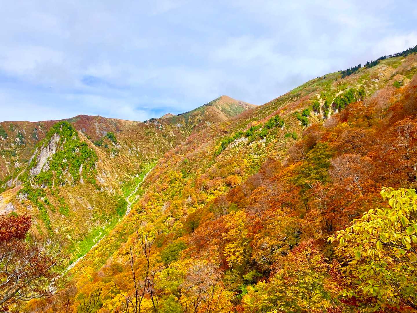 山頂方面は圧巻の紅葉🍁