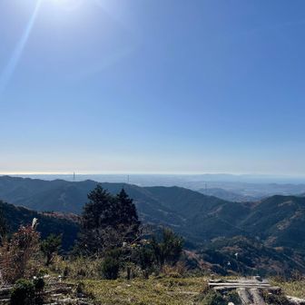 GOOD展望、海も見える🪼🏝️