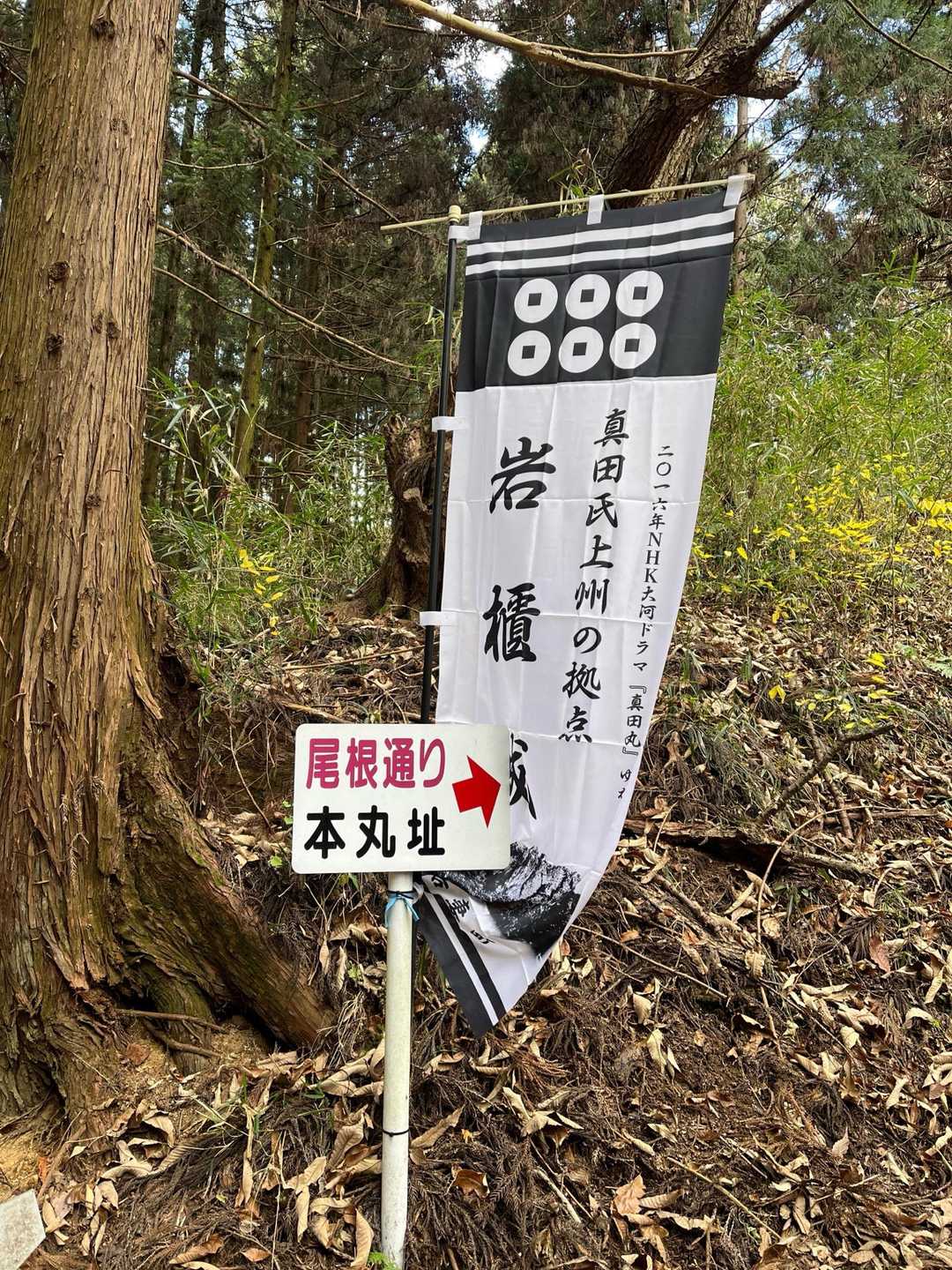 大河ドラマ　✨真田丸で脚光を浴びたようですね