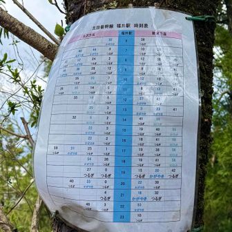 北陸新幹線🚄福井駅発の時刻表⏰

頂上にもあったけど珍しい🤭
でも何だか優しくてほっこり🥰