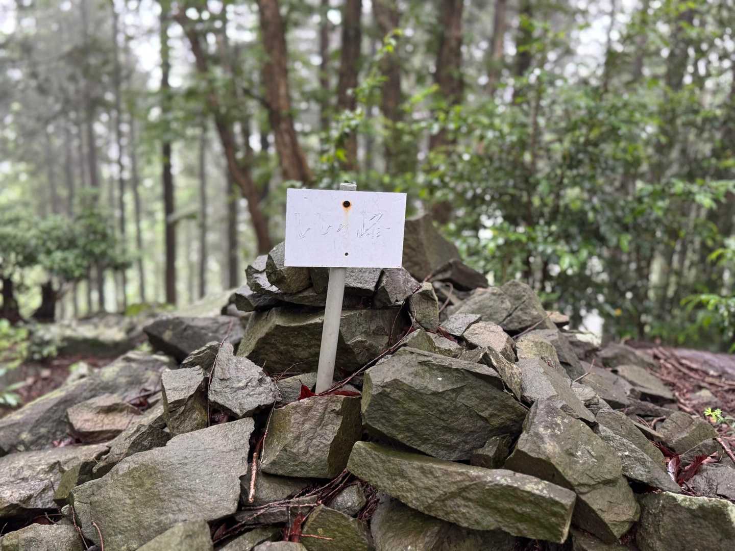 軽装なのに
濡れた草木が茂るルートを選択した私は
ししケ峰に着く前にもうびしょびしょ