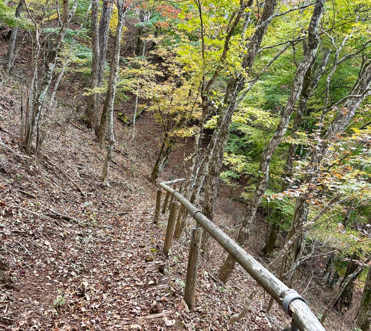 ココを下ると現在は車両通行止めとなっている道路に合流後､二十六夜山登山口↩️