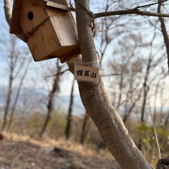 ずっこうやま
丹沢方面の展望良し