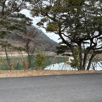 帰ってきました桑々田池