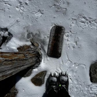 見づらいけど…麦草岳