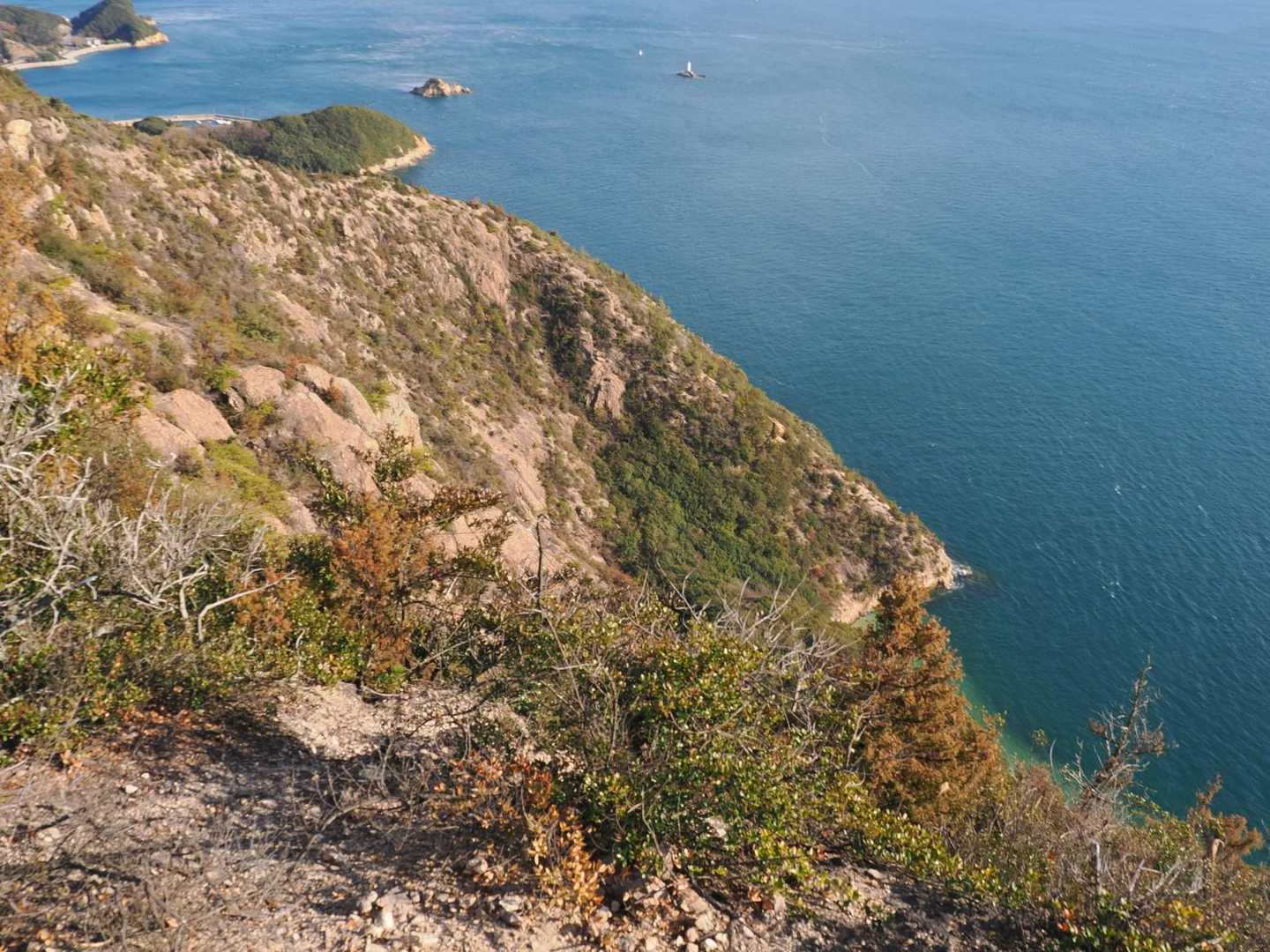 宥信庵-館山 往復コースの写真