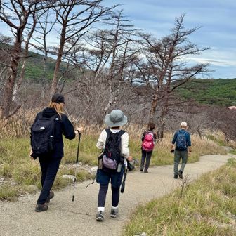 みなさん満足そうに下山されました。
山頂でのんびりしすぎたので、
10時のテント⛺️回収まで急がないと💦