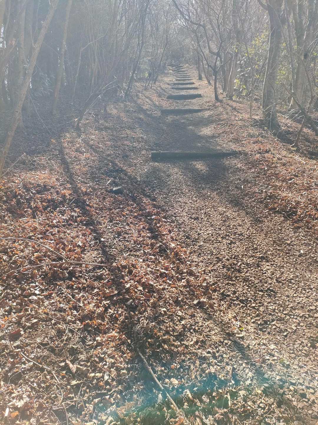 ラストスパート🏃