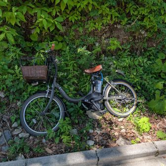 デポした自転車も無事でした！
さあ、ここからまた1時間半くらいかけて畑薙駐車場へ😅