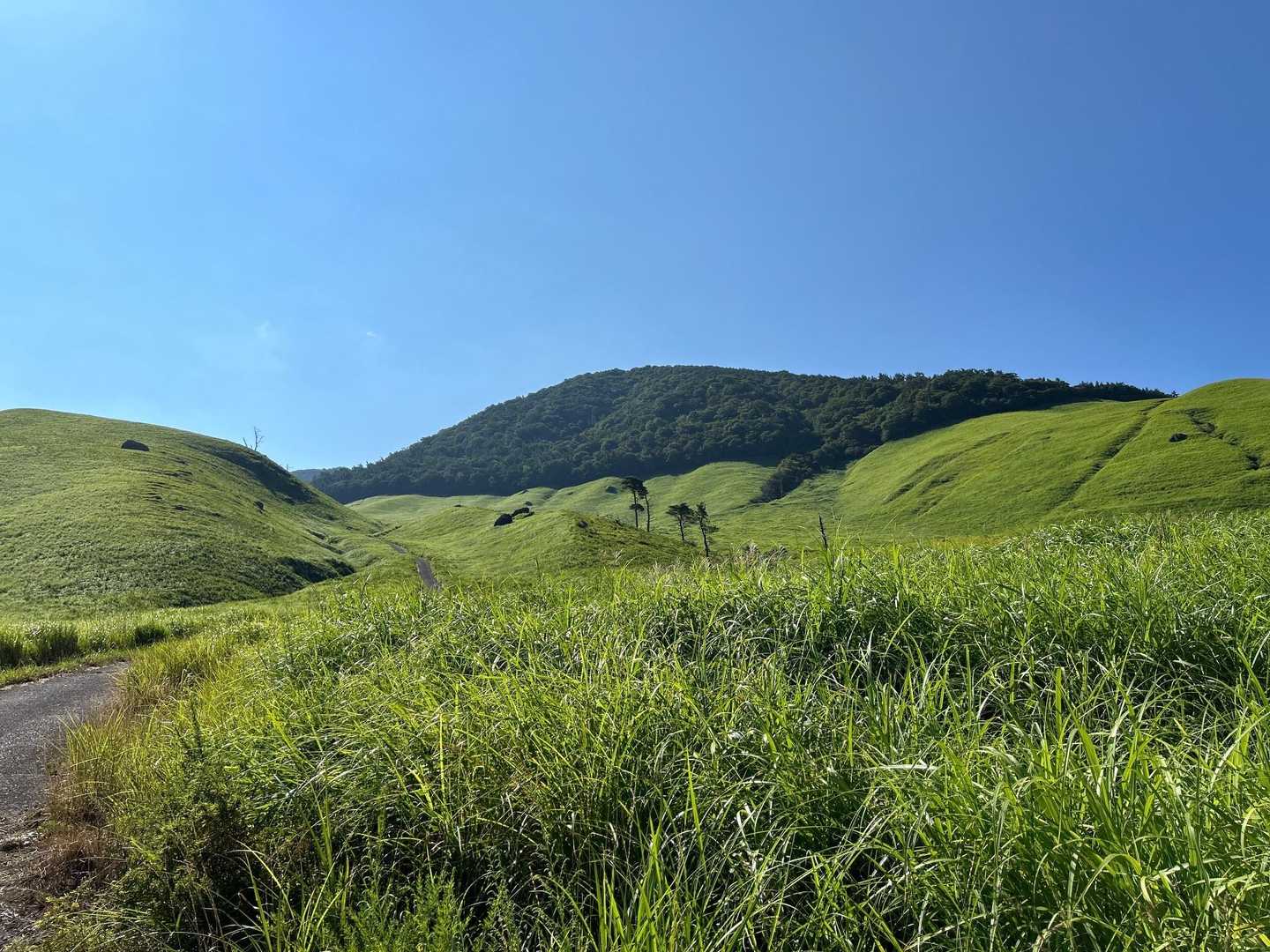 大分県立社会総合教育センター 九重青少年の家-おにぎり山 周回コースの写真