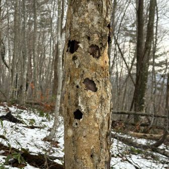 こんなマスクを被った◯人鬼が出てくるホラー映画があるな