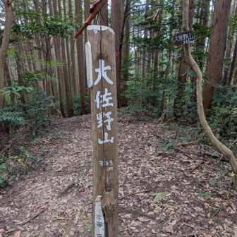 大佐野山山頂