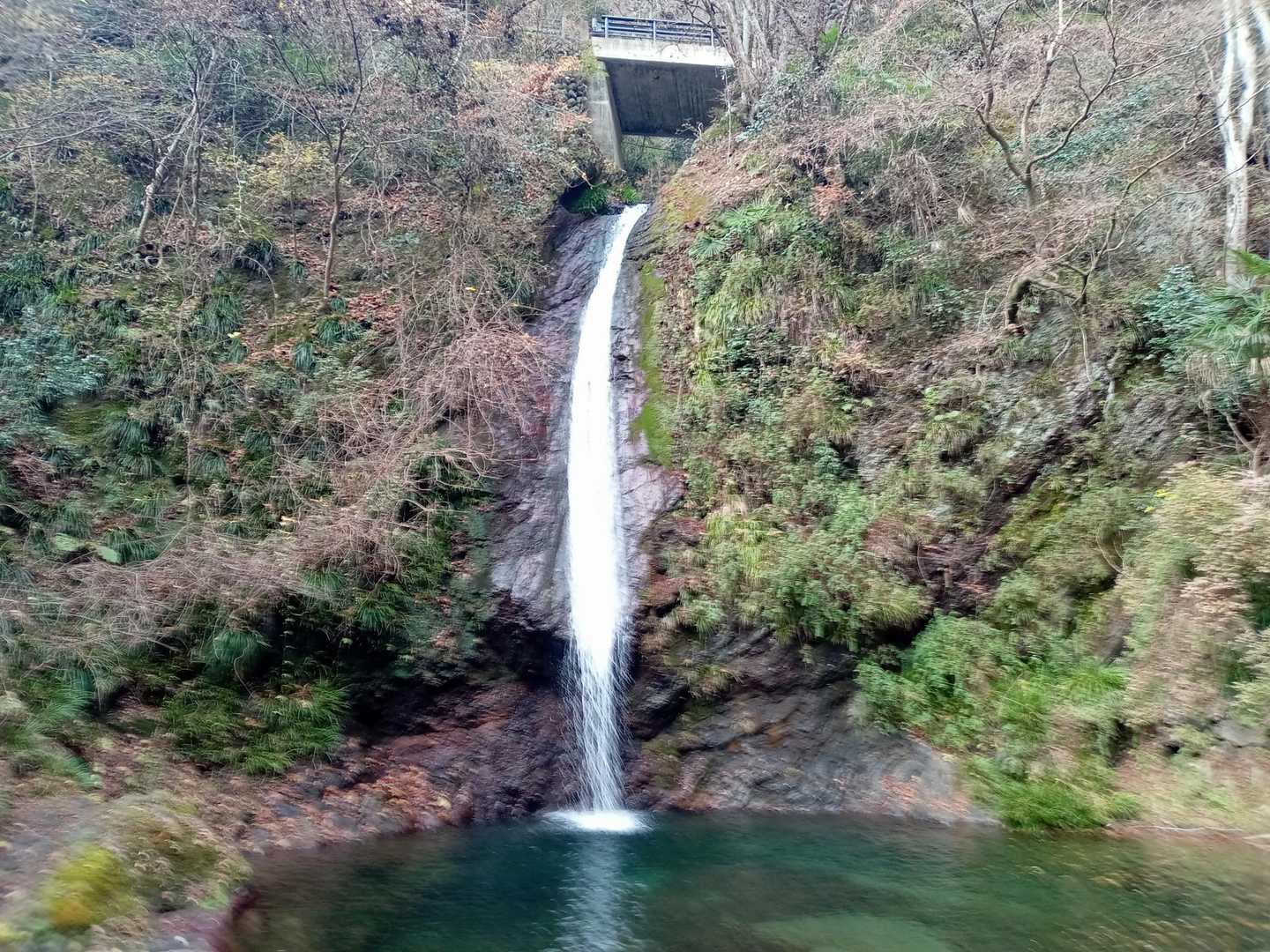 観光名所となっている秩父華厳の滝に着きました🌊
思ったよりも迫力があって、水の音で癒やされました😄