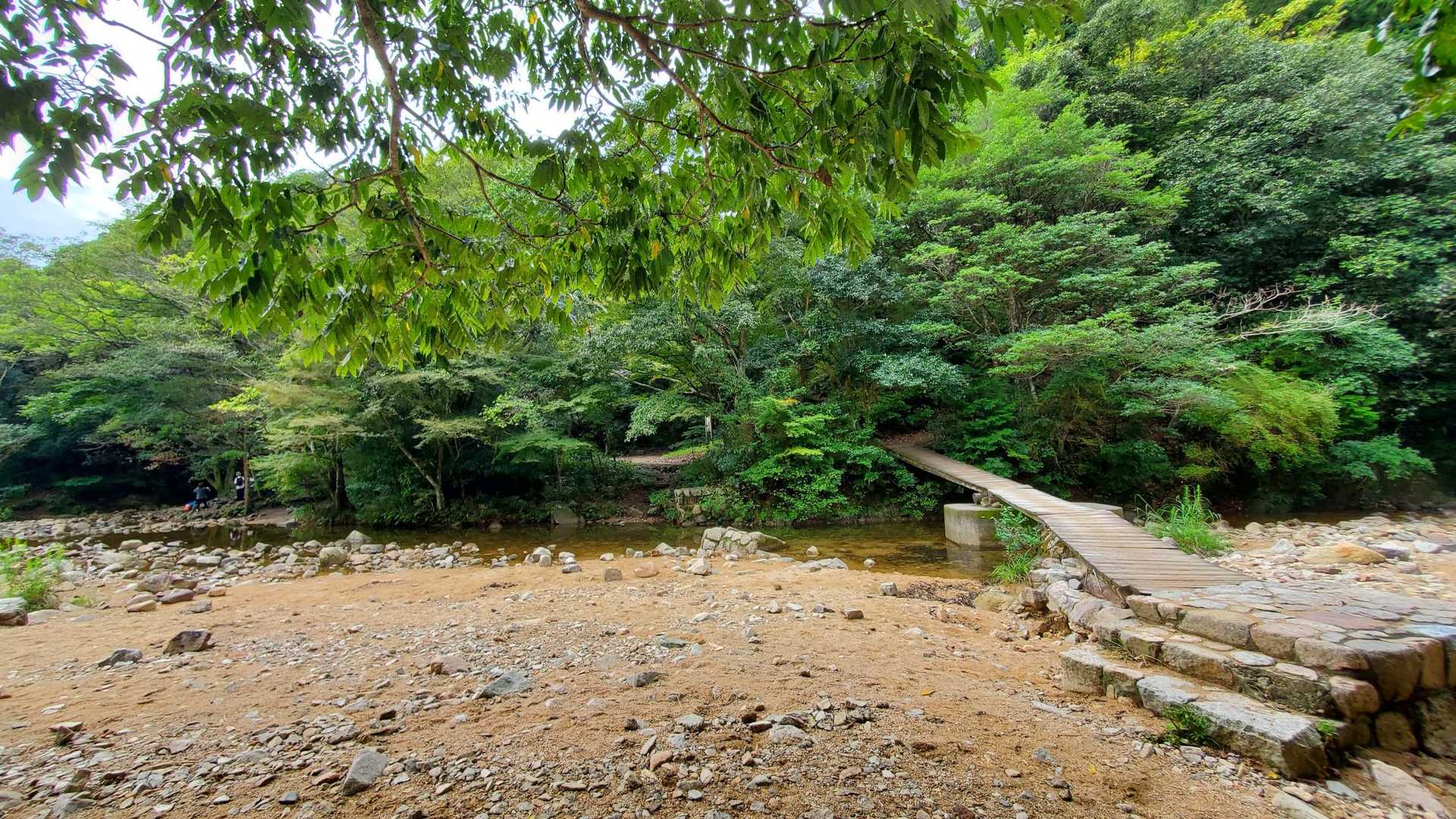市ヶ原　まあまあの人出
