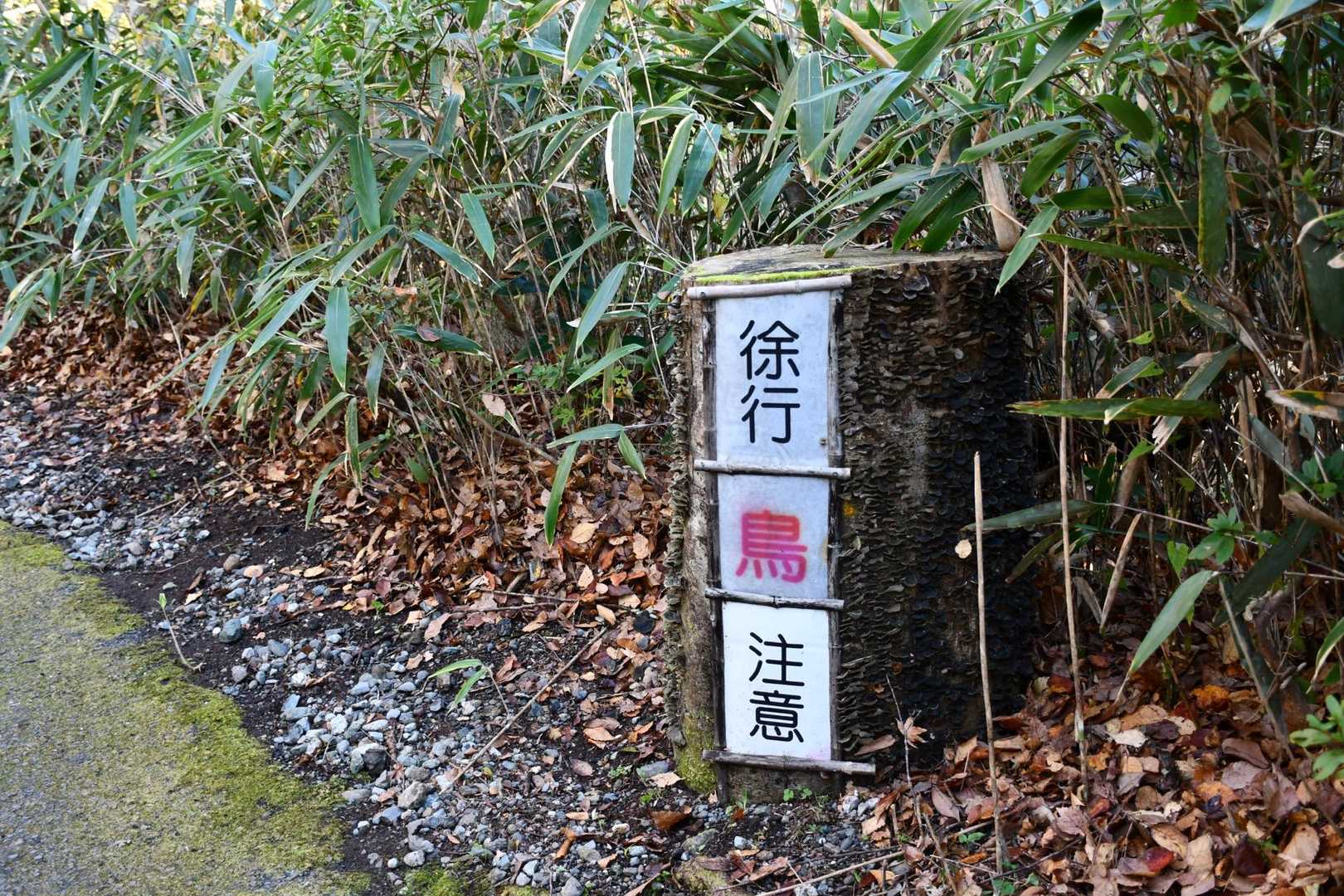 鳥注意ですよー