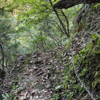 鎖場もあります
この辺りは狭く湿っていて歩きにくいので要注意です