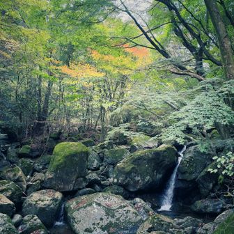 登山口近く