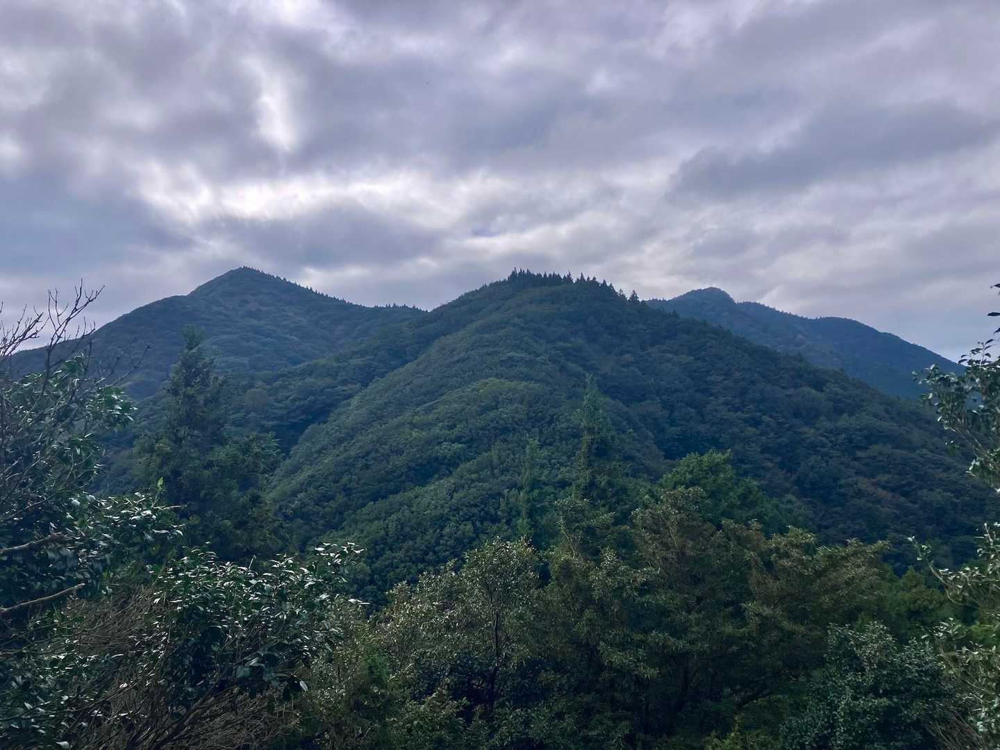 馬見山から下山なのに、右上の屏山へ250mの登り返し🥵